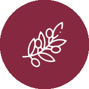 A white olive branch icon on a maroon circular background.