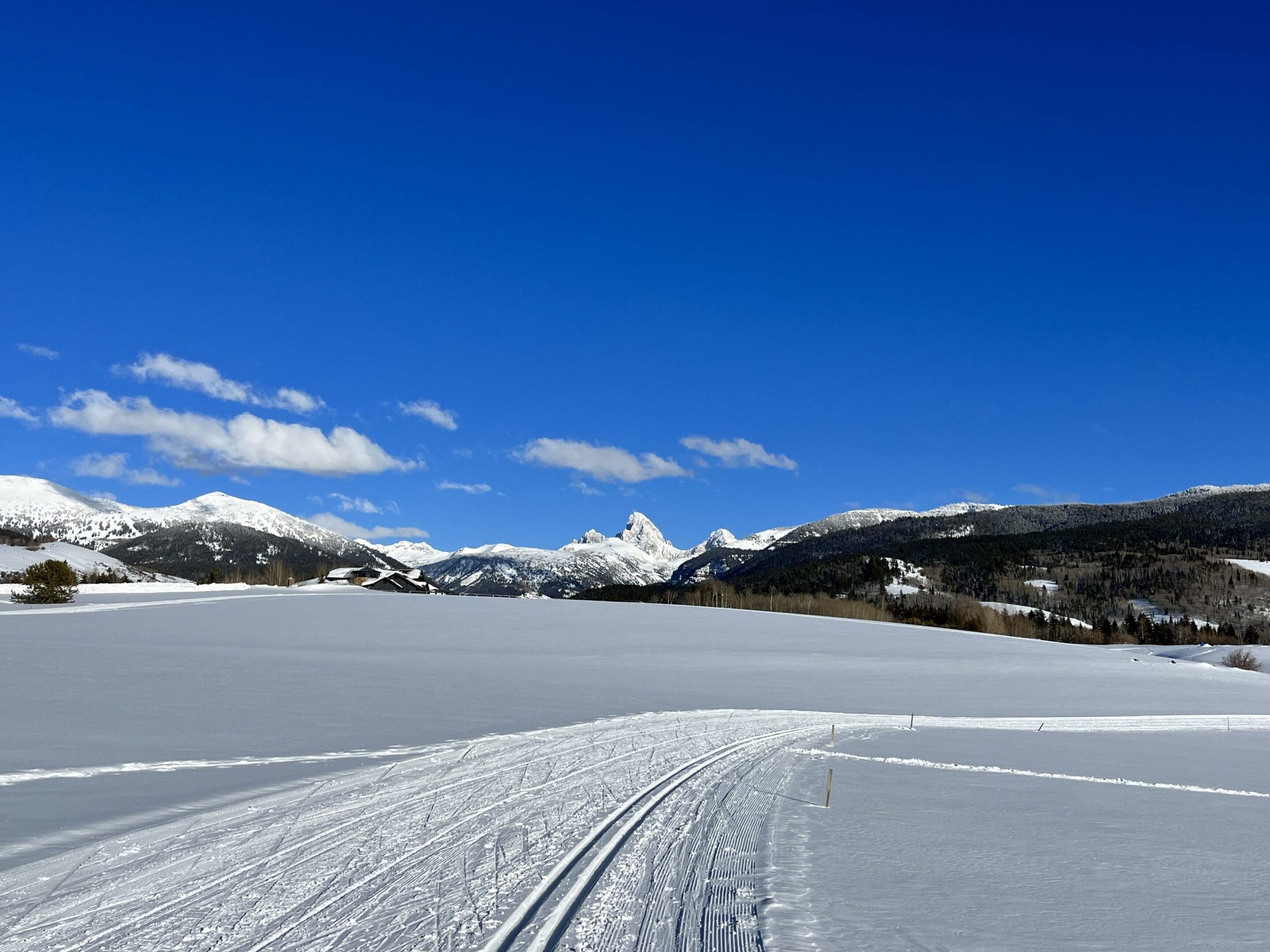 Snow-covered landscape with clear blue sky and distant mountains.