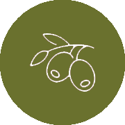 Olives from Greece & Spain