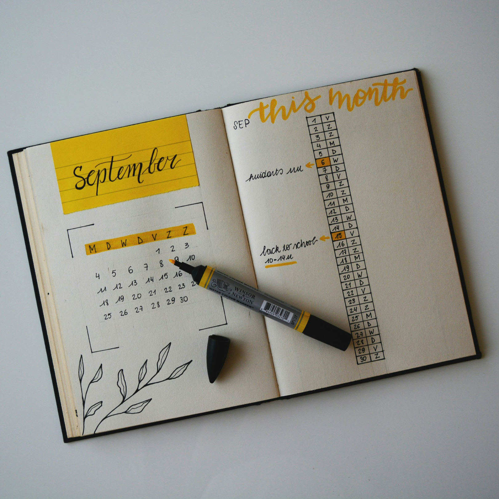 Liddy’s Olive Branch.